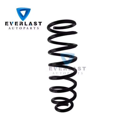 OEM Una232/ Trailers Parts/Suspension/Spare Auto Parts/Slipper Hook-End/Leaf Spring for Trailer