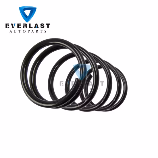 OEM Una232/ Trailers Parts/Suspension/Spare Auto Parts/Slipper Hook-End/Leaf Spring for Trailer